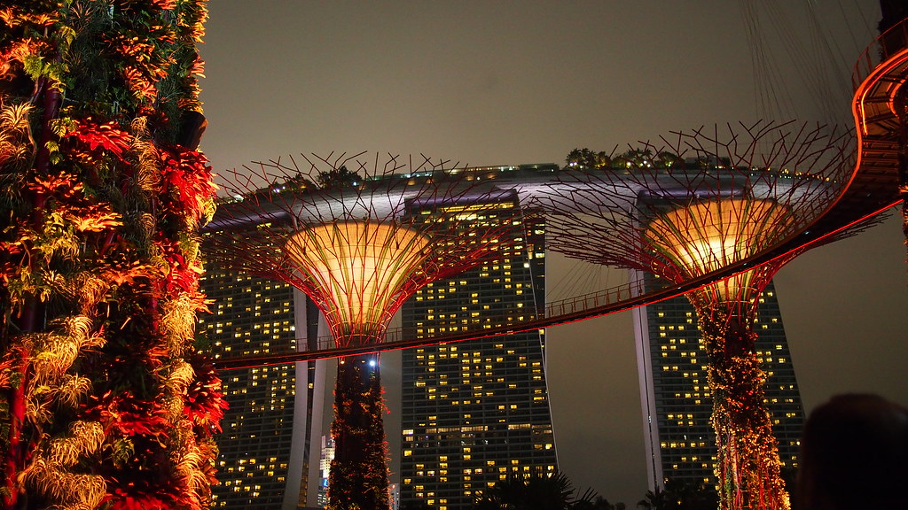 Why you should visit Gardens by the Bay during the SG50 weekend - Alvinology