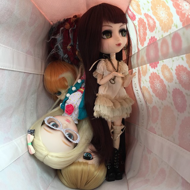 5 dolls in a bag. Everyone keep your hands to yourself!