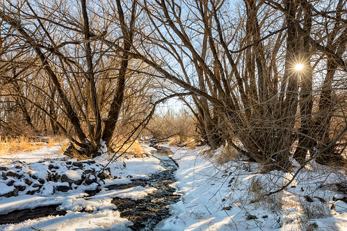 ellensburg trees sunstar stream snow kittitascounty