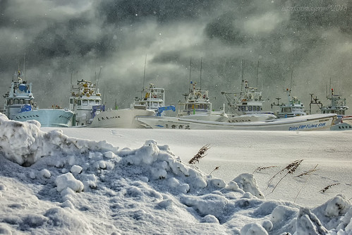 harbour boats dryland shibetsuharbour shibetsu hokkaido japan fishing snow winter clouds fleet fishingboats storms