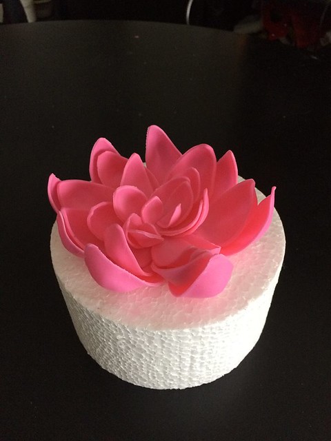 Lotus Cake by Marina Silvia Rothhuber of Silvycakes