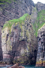 Vestmanna bird cliffs: The elephant