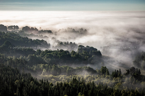 3 skog flygfoto 4 träd törestorp dimma hillerstorp troax jönköping sverige swe