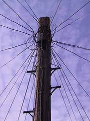 Telephone Pole