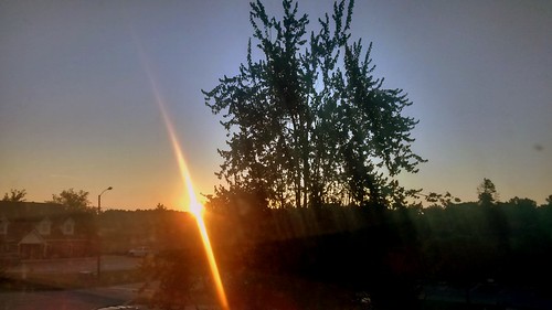 morning sky sun tree sunshine sunrise nc northcarolina sunny clear daybreak lumberton robesoncounty
