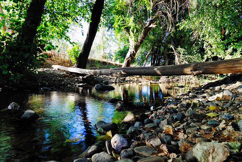 naturaleza nature rio canon river agua huelva andalucia campo 1018 piscinanatural charca 600d murtiga eos600d