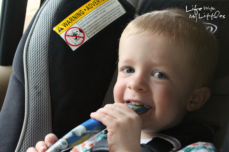 Here are great wholesome snacks for a road trip with kids. A great list of what to pack that will help you make better choices on the road and save money!