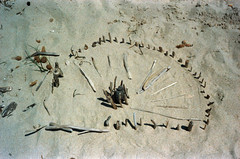 Beach art - Photo of Coggia