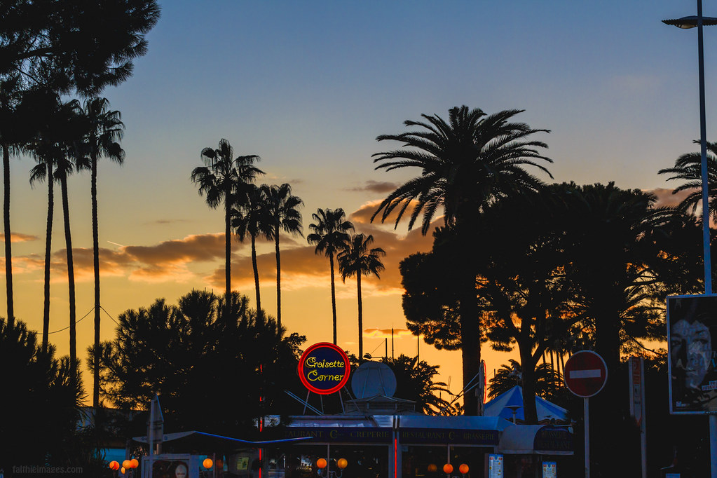 Palms and sunset tones in Cannes