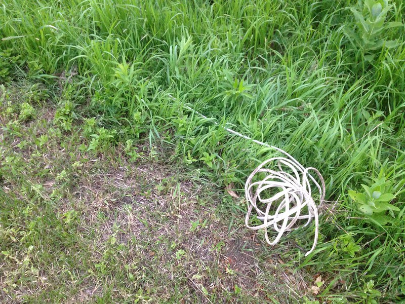 Electric wire buried in the field