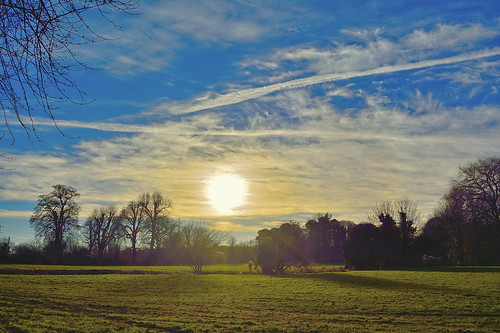 wendover buckinghamshire landscape sky clouds field tree hdr grass sun branch nikon d5200 1855mm