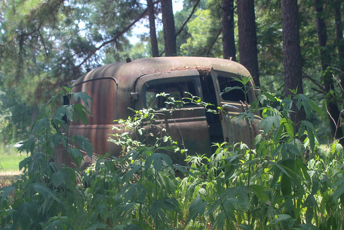 chevrolet vintage fifties rusty rusted vehicle trucks paneltrucks