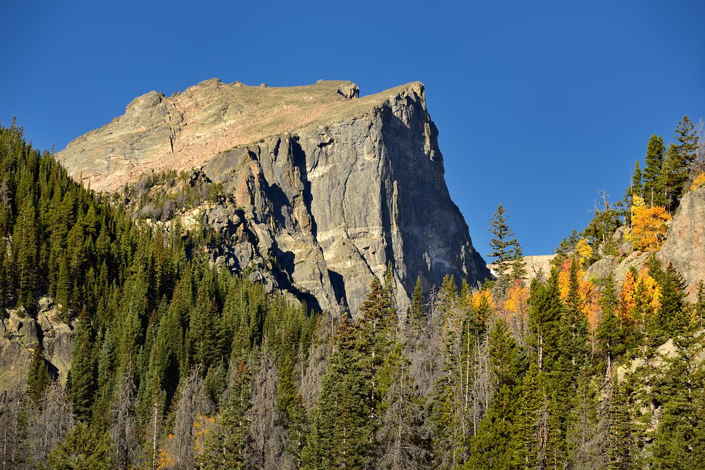 Hallett Peak Above the Trees (Rocky Mountain National Park)