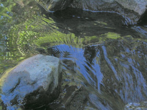 blue summer green water creek montana stream greenisbeautiful land thebigsky dearborn sawmillcreek beautifullandscapes preciousresource greenmontanaset waterisalive