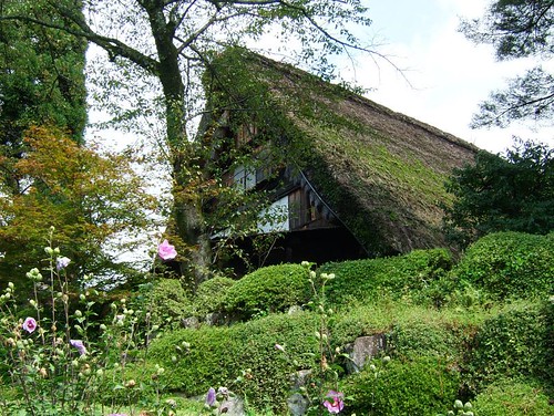 Thatched house 3