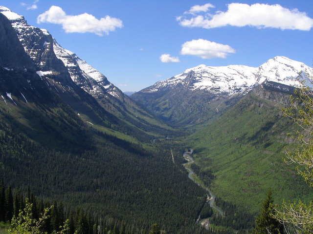 U-Valley, Going-to-the-Sun Road, Glacier National Park, Montana