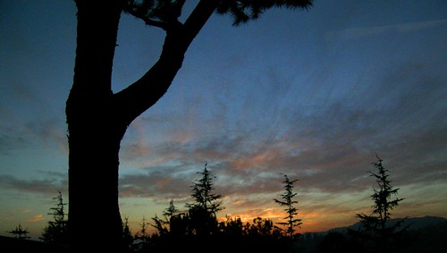 trees sunset sky silhouette landscape getty