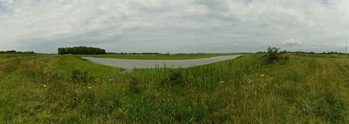ohio birding marsh hotspot wetland wildlifearea sanduskycounty ebird