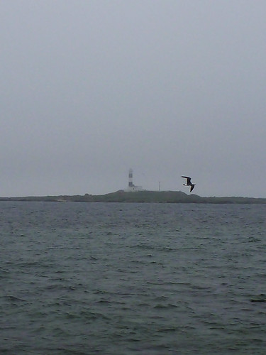 sea lighthouse island coast 日本 青森県 大間町