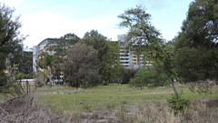 Former Bentley Public Housing Estate