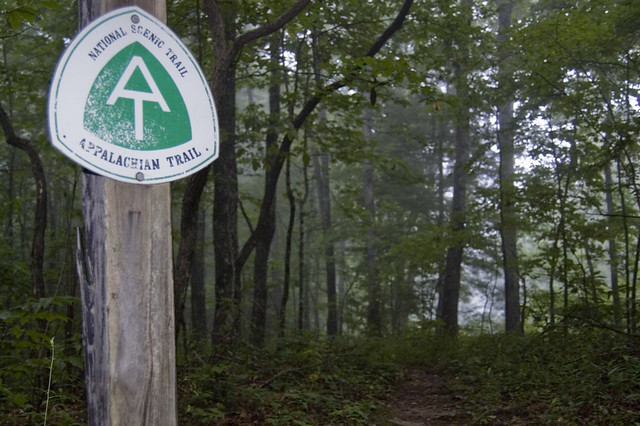 The Appalachian Trail has many access points throughout Smyth Co., VA.