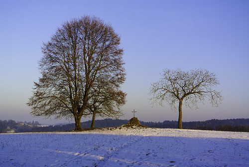 blaika bäume winter landshut bayern deutschland trees outside sonnenuntergang sunset schnee snow himmel sky blau blue nikon1v1 kati katharina 2017