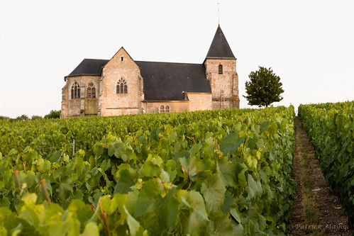 summer france church landscape vineyard outdoor champagne été paysage fr vignes vignoble église champagneardenne chavot moussy champenois