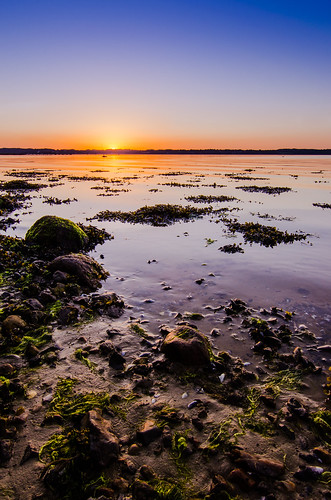 sunset beach strand germany nikon meer sonnenuntergang balticsea tokina algen flensburg lzb
