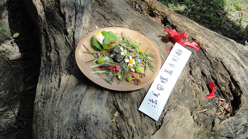 日本KEEP協會的活動之一：運用自然素材創造一道美味料理
