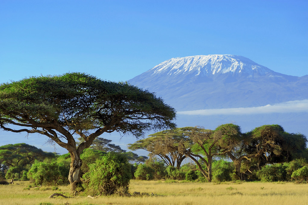Kilimandjaro, parc national d'Amboseli
