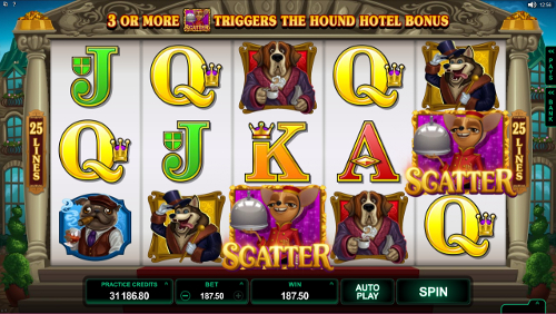 Hound Hotel Scatter Feature
