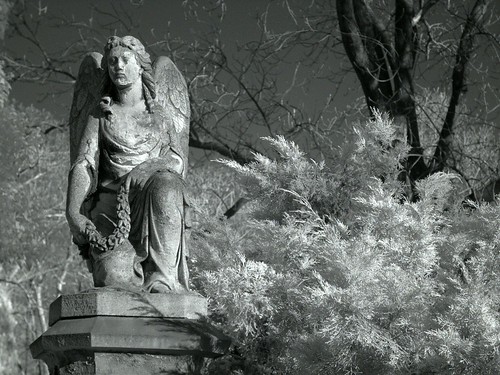 cemetery graveyard angel infrared churchyard hagen top20cemetery qv3000