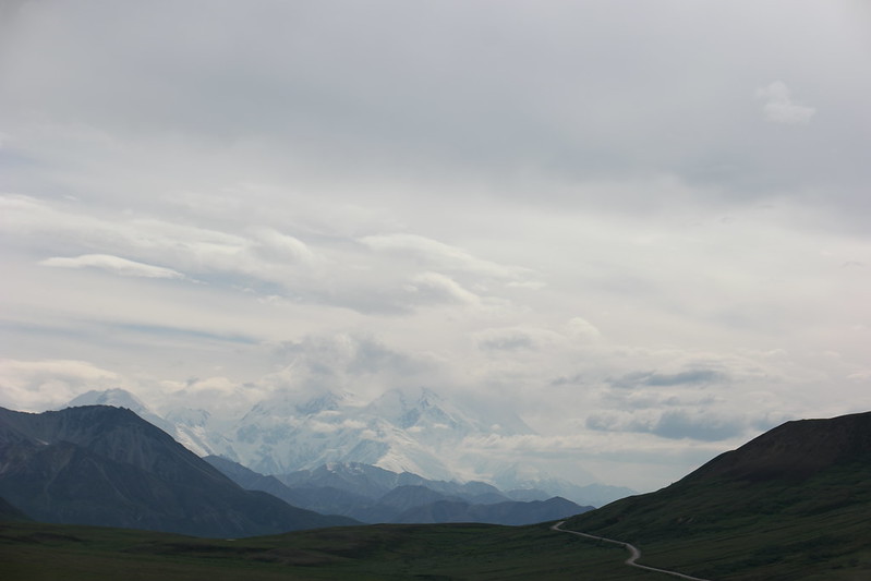 Blog Alaska Denali