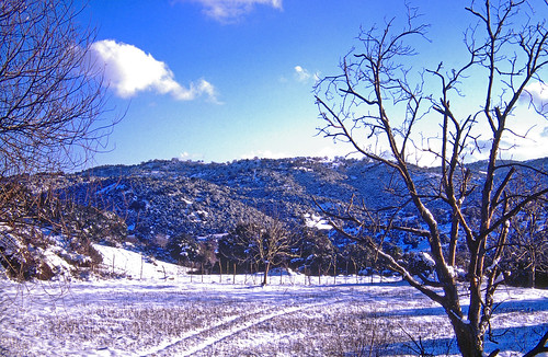 blue trees winter sky white mountain snow film 35mm landscape greece velvia slides fujichrome 50asa pentaxlx 35mmphoto achaia analoguephoto panachaikon