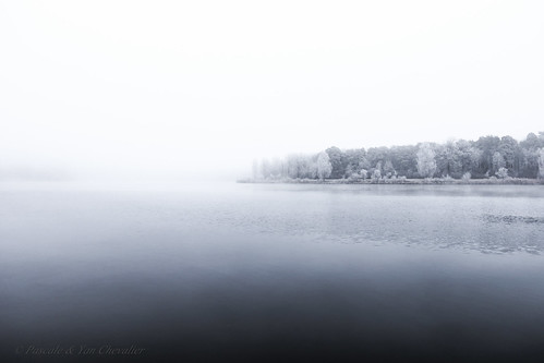 nature landscape sky lake winter fog tree trees white blurry ice snow freezing cold water reflection pale dreamy memories memory hope newyear happynewyear canon 6d 1635 uwa wide angle wideangle december photography outdoors outdoor purity pure resolutions lens 2017 dream joy