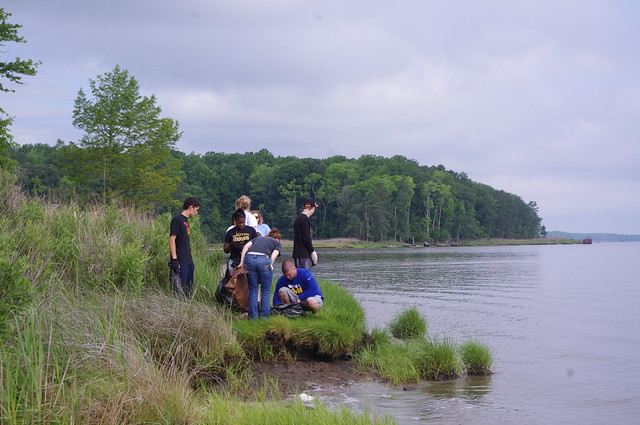 Volunteers pick up litter along the York River at York River State Park, Virginia "Clean the Bay Day"