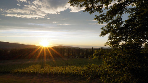 sunset nature naplemente balaton wineyard szigliget nyár balatoninyár welovebalaton
