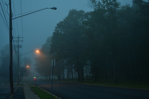 fog jogging mist fall autumn trees streets lockportny niagaracountyny nikond3100