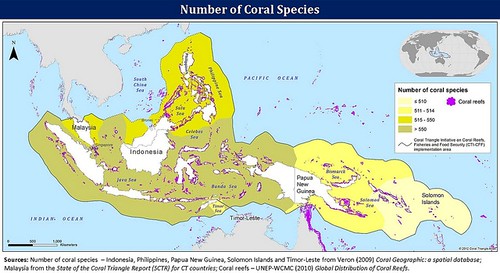 珊瑚大三角（the coral triangle）。圖片來源：USAID Asia。(CC BY-NC 2.0)
