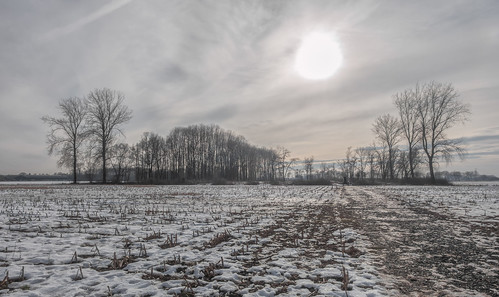 nswandeling parklingezegen cornfield field hiking landscape snow sun winter nederlandvandaag cornstubs