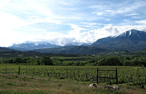 mountains clouds rural colorado grapes vinyards paonia westelkmountains