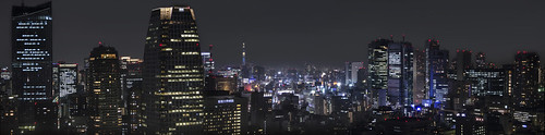 city longexposure nightphotography travel panorama building japan skyline architecture night landscape tokyo nikon asia cityscape nightscape outdoor her 日本 tokyotower nippon 東京 another dslr fareast stitched nihon eastasia ptgui tokyoskytree d5100