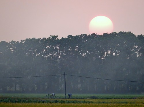 sunset bicycle forest working fields late farmer hanoi outskirts