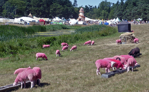 pink music field festival suffolk sheep farm gig southwold latitude 2015 henham