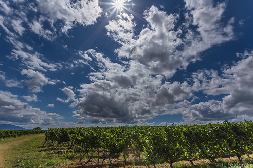 sky cloud canon landscape eos vineyard wolken l freiburg baden landschaft sonne 1740 reben 6d sunstar badenwürttemberg südbaden weinreben sonnenstern rltravel rlfotografie rllandscape