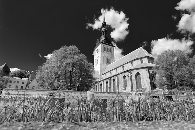 St. Nicholas' Church - Tallinn, Estonia