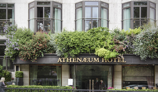 Athenaeum Hotel - Vertical Garden