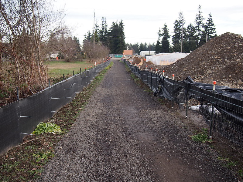 Olympic Discovery Trail Work: A bit of gravel because of sewer work nearby.