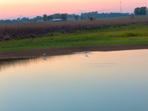 citylake scenic rural country sun sunset birds lake indiana