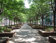 Downtown Cincinnati Park